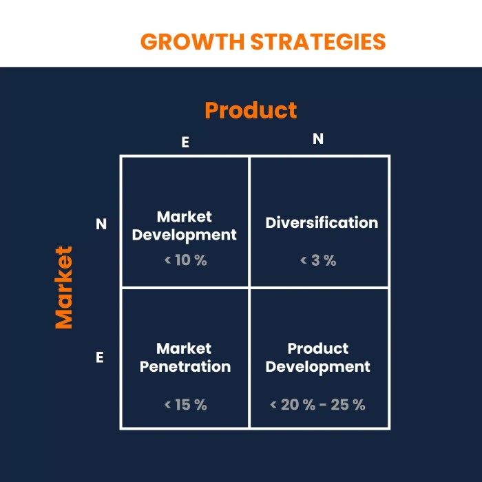 Business growth strategies