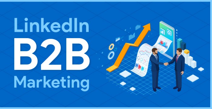 Using LinkedIn for B2B Marketing