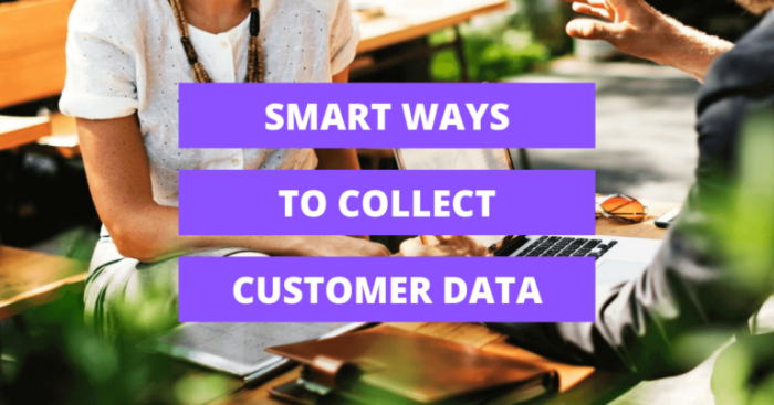 Using Surveys to Collect Customer Data